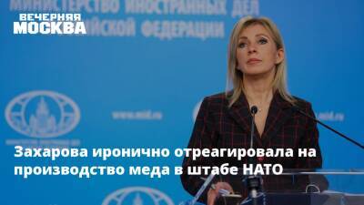 Мария Захарова - Захарова иронично отреагировала на производство меда в штабе НАТО - vm.ru - Россия - Брюссель
