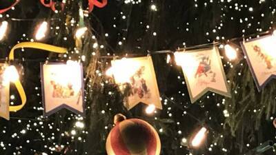 Петербуржцы не смогли увидеть главную новогоднюю ель города в свете огней