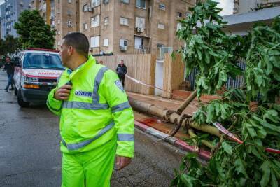 Циклон «Кармель» принес в Израиль снег, град, упавшие деревья и электрические аварии