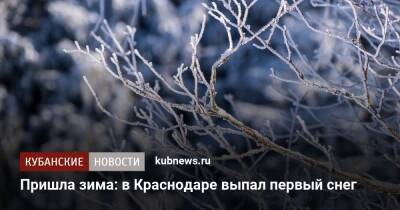 Пришла зима: в Краснодаре выпал первый снег