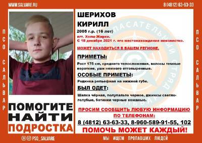 В Смоленской области пропал 16-летний мальчик