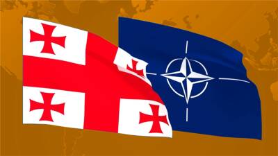 Грузия назвала неприемлемыми требования России к НАТО и США