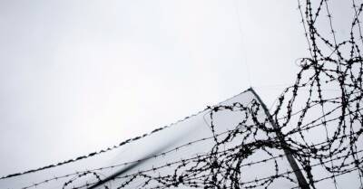 "Камера снимает, как человека из окна выбрасывают". Gulagu.net опубликовал новое видео с пытками заключенных