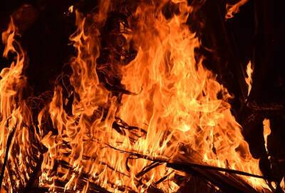 В пожаре в Петродворцовом районе погиб мужчина
