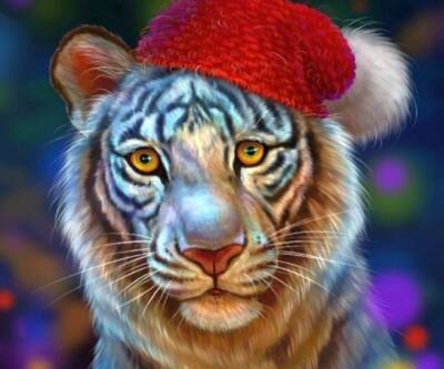 Год Голубого Водяного Тигра: что подать на новогодний стол, чтобы задобрить хищника