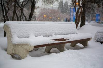 В Новосибирске прогнозируют оттепель на новогоднюю ночь 31 декабря