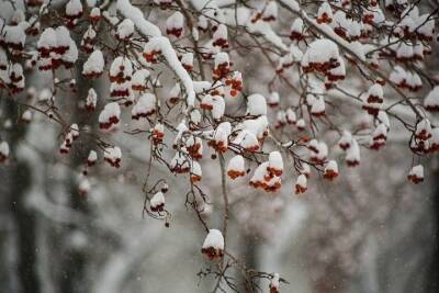 Снег, гололедица и -23 градуса – погода в Красноярске 21 декабря
