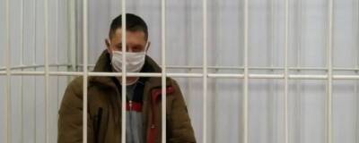 Суд в Новосибирске рассматривает дело в отношении мужчины, который сбил сибирячку с ребёнком в коляске