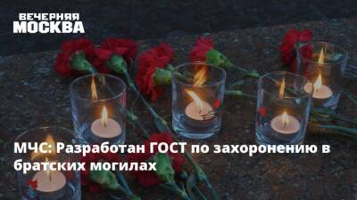 МЧС: Разработан ГОСТ по захоронению в братских могилах - vm.ru - Россия