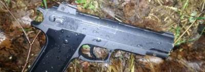 В Добрушском районе сельчанин угрожал игрушечным пистолетом и ножом пенсионеру