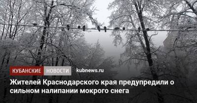 Жителей Краснодарского края предупредили о сильном налипании мокрого снега