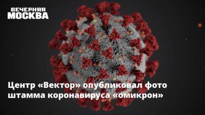 Центр «Вектор» опубликовал фото штамма коронавируса «омикрон»