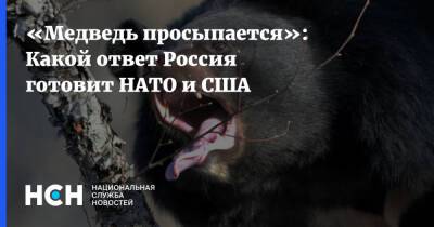 «Медведь просыпается»: Какой ответ Россия готовит НАТО и США