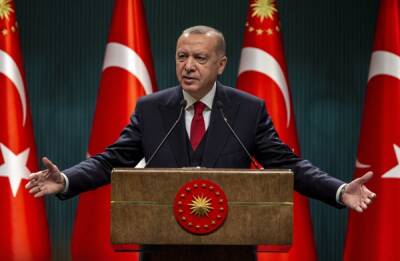 Из-под матраса на рынок: Эрдоган объявил экстренные меры спасения турецкой лиры
