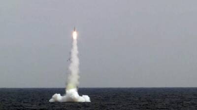 Подлодка «Петропавловск-Камчатский» провела успешный пуск ракеты «Калибр»