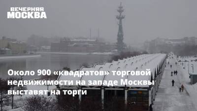 Максим Гаман - Около 900 «квадратов» торговой недвижимости на западе Москвы выставят на торги - vm.ru - Москва - Торговля