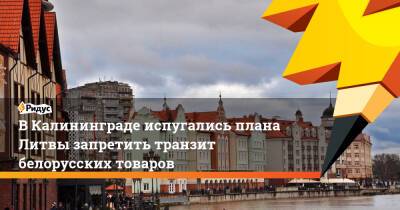 В Калининграде испугались плана Литвы запретить транзит белорусских товаров