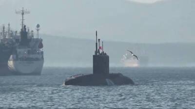 В Японском море российские военные выполнили пуск крылатой ракеты «Калибр»