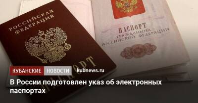 В России подготовлен указ об электронных паспортах