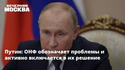 Путин: ОНФ обозначает проблемы и активно включается в их решение