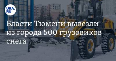 Власти Тюмени вывезли из города 500 грузовиков снега. На город выпало треть месячной нормы осадков