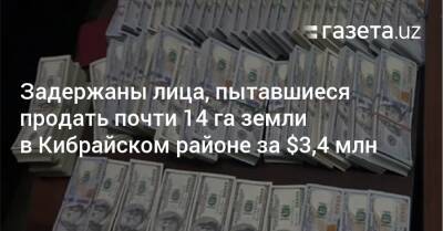 Задержаны лица, пытавшиеся продать почти 14 га земли в Кибрайском районе за $3,4 млн - gazeta.uz - Узбекистан - Ташкент - район Кибрайский