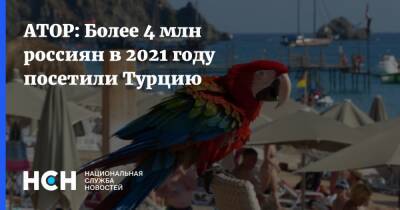 Майя Ломидзе - АТОР: Более 4 млн россиян в 2021 году посетили Турцию - nsn.fm - Россия - Египет - Турция