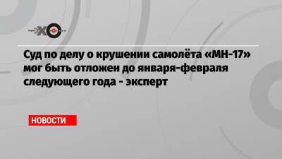 Вадим Лукашевич - Суд по делу о крушении самолёта «MH-17» мог быть отложен до января-февраля следующего года — эксперт - echo.msk.ru