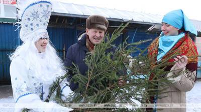 ФОТОФАКТ: Лесхозы Витебской области планируют реализовать на елочных базарах около 30 тыс. новогодних деревьев