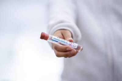 В Тульской области за последние сутки зарегистрировано 13 смертей от коронавируса
