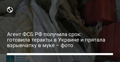 Агент ФСБ РФ получила срок: готовила теракты в Украине и прятала взрывчатку в муке – фото