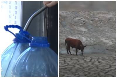 Украине грозит дефицит питьевой воды: когда придется покупать из-за рубежа