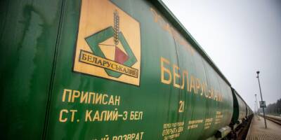 "Попали на деньги": позиция США по санкциям против Белоруссии поставила Литву в тупик