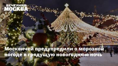 Москвичей предупредили о морозной погоде в грядущую новогоднюю ночь