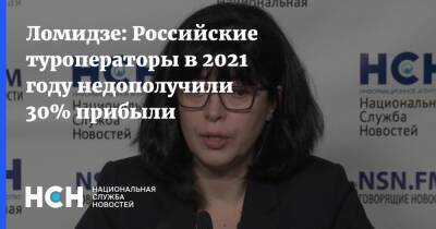 Ломидзе: Российские туроператоры в 2021 году недополучили 30% прибыли