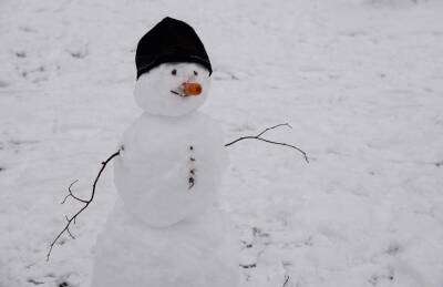 «Не Снегурочка, а трансвестит»: жителей новосибирского Бердска напугала уродливая снежная скульптура