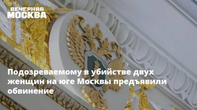 Подозреваемому в убийстве двух женщин на юге Москвы предъявили обвинение