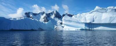 Под шельфовым ледником Антарктиды найдено 77 видов микроорганизмов