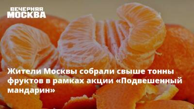 Жители Москвы собрали свыше тонны фруктов в рамках акции «Подвешенный мандарин»