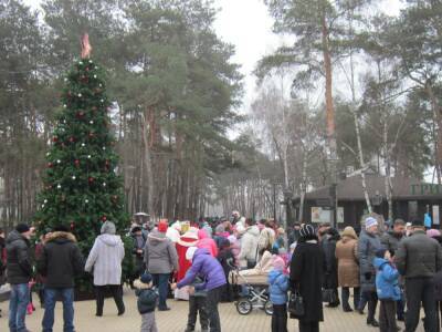 В Воронеже новогодние елки установят в двух городских парках