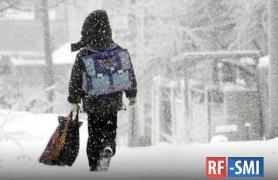 Московским школьникам разрешили не ходить на уроки при температуре ниже -25