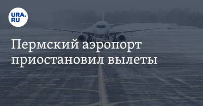 Пермский аэропорт приостановил вылеты