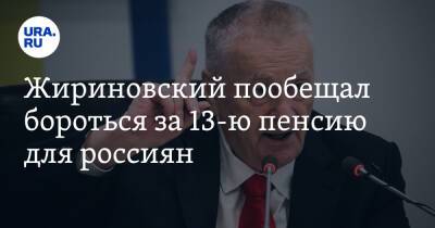 Жириновский пообещал бороться за 13-ю пенсию для россиян