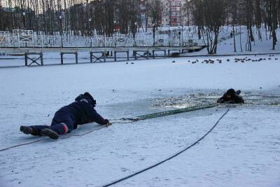 Как в Смоленске спасали провалившихся под лед