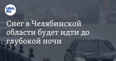 Снег в Челябинской области будет идти до глубокой ночи