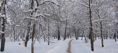Температура в Карелии в среду будет колебаться от -8 до -29°С
