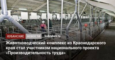 Животноводческий комплекс из Краснодарского края стал участником национального проекта «Производительность труда»