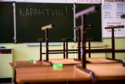 В Ярославской области закрыли на карантин школу
