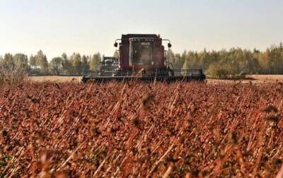 В Украине подсчитали объем рекордного урожая