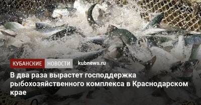 В два раза вырастет господдержка рыбохозяйственного комплекса в Краснодарском крае